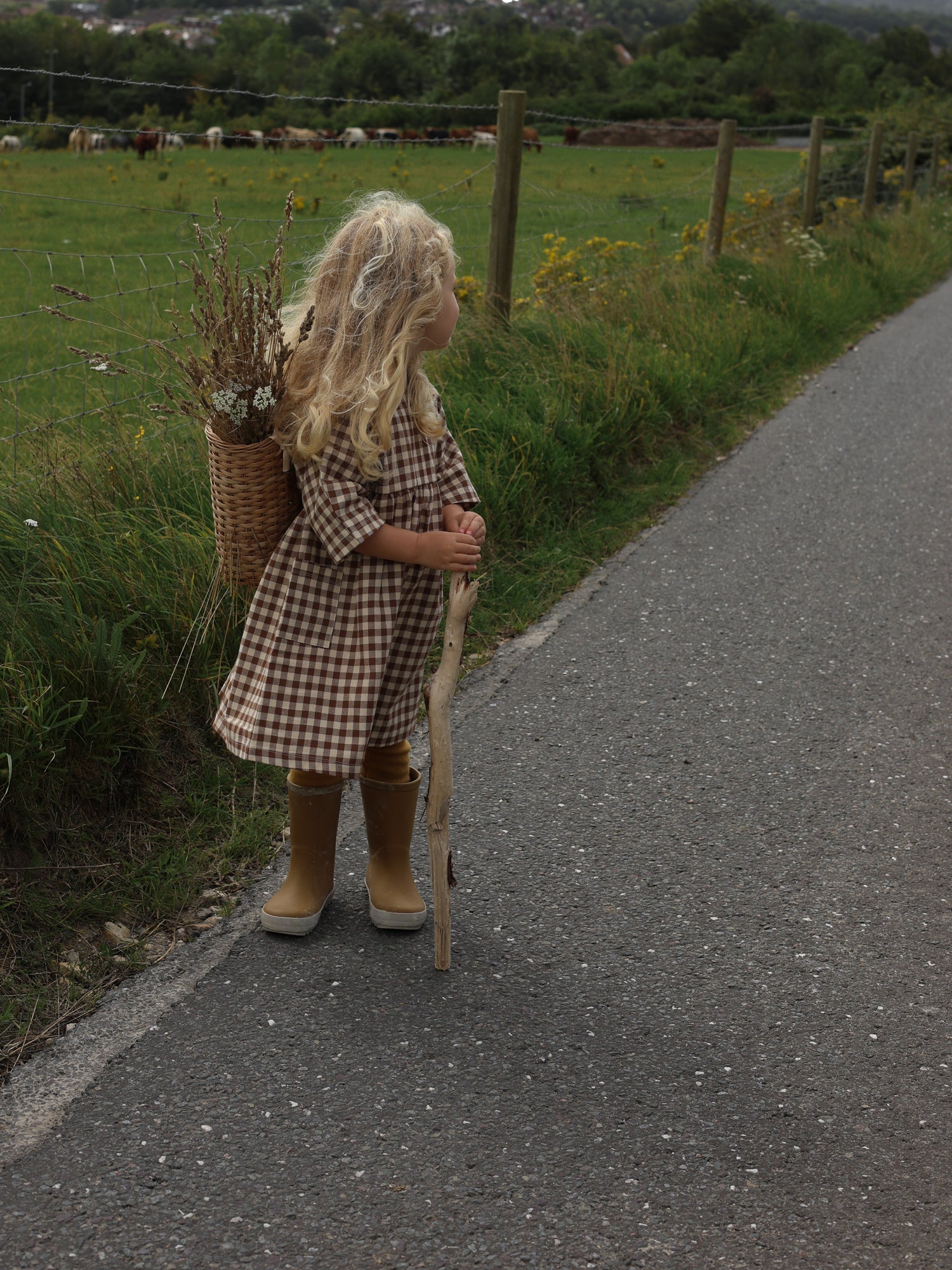 Chestnut Gingham Gather Dress - Image 5