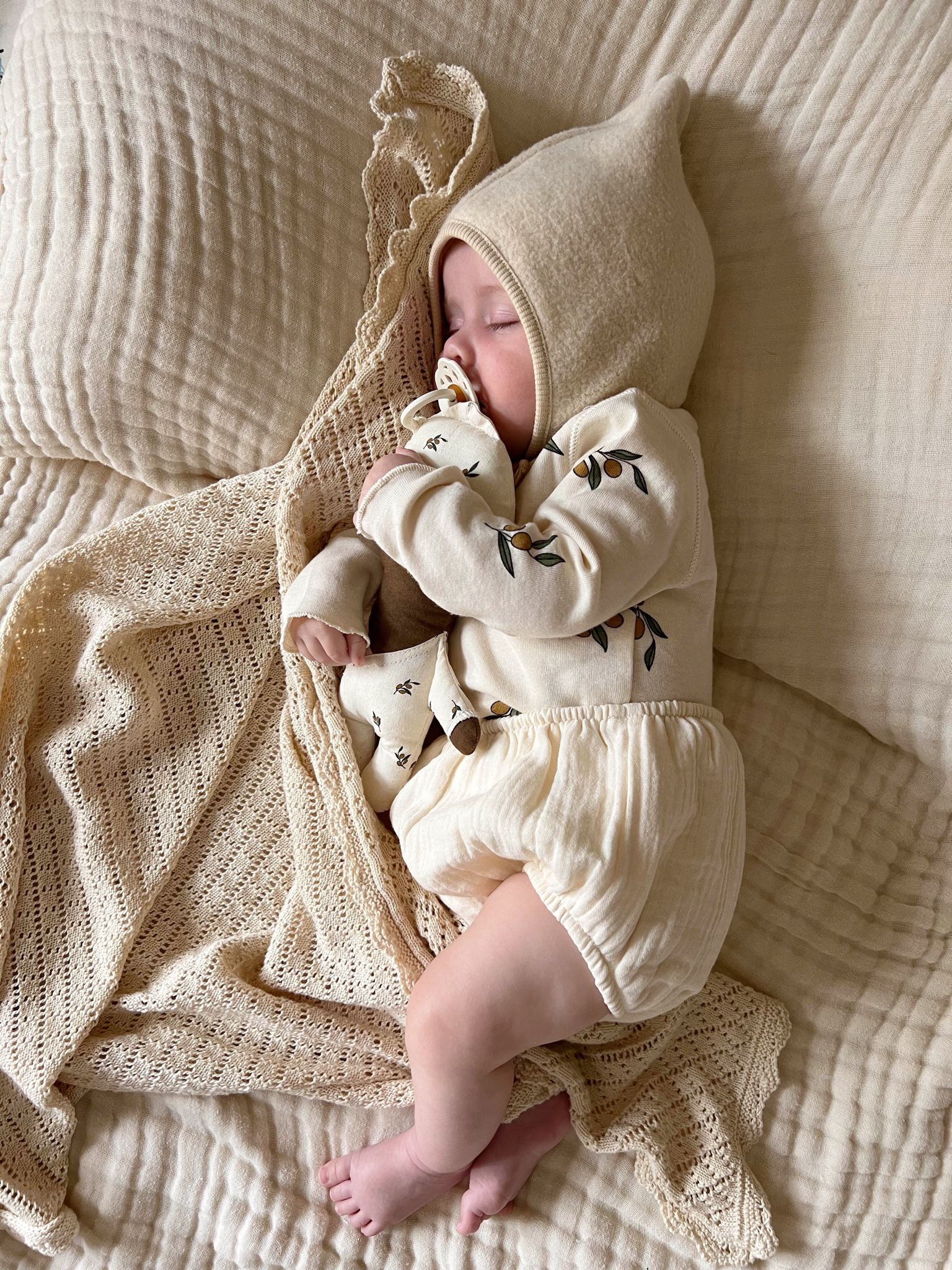 Oat Shortie - Image 3