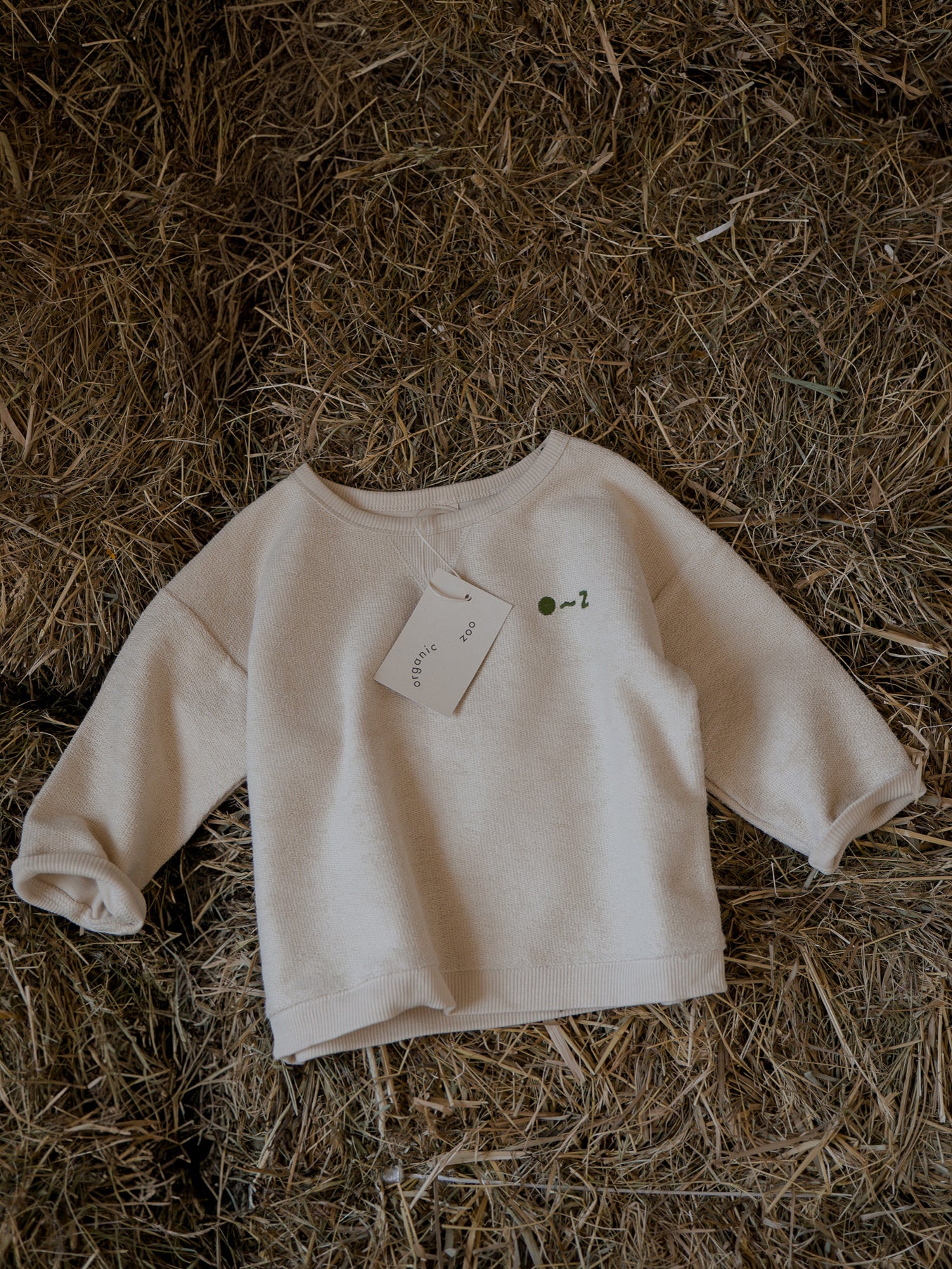 Original~Z Embroidered Logo Sweatshirt - Image 7